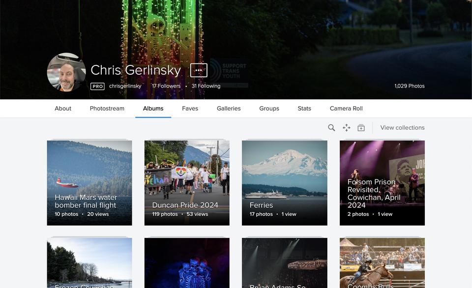 Screenshot of flickr account